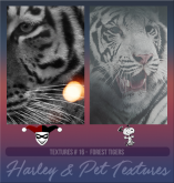 HarleypetTP16.png