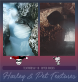 HarleypetTP18.png