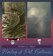 HarleypetTP21.png