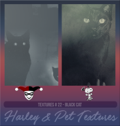 HarleypetTP22.png